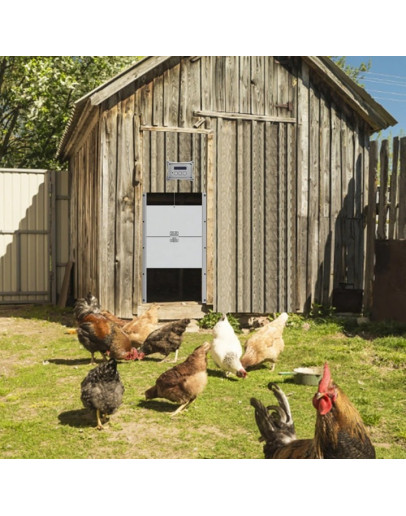 Chicken Coop Door Kit with Automatic Opening and Closing