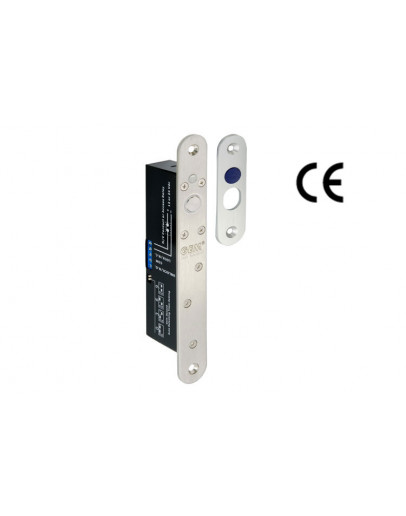 Inlay Electronic Piston Lock