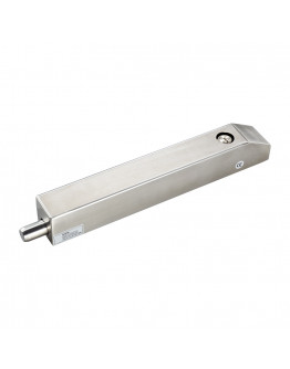 Stainless Steel Electric Lock with Cylinder (IP55)