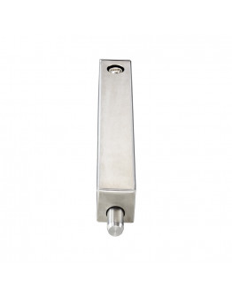 Stainless Steel Electric Lock with Cylinder (IP55)